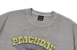 Peach Summer Pigment Short Sleeve Tee