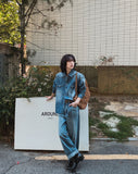 Flood cat brush western denim shirt