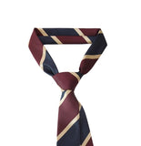 [LAN ARCHIVE] Schooled stripe mold tie