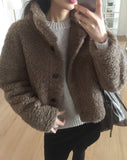 Merve Fluffy Fur Button High Neck Short Jacket