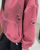 Ferris Crop Damage Hoodie