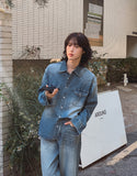 Flood cat brush western denim shirt