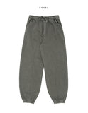 Lutz Pigment Jogger Pants