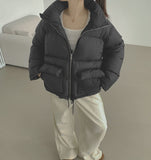 High-Neck Big Pocket High Quality Loose Couple Thick Padding