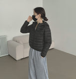 Lightweight Winter Padding