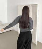 Basic Mid Season Semi Crop Knit