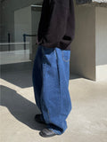 Blue Max Balloon Wide Denim