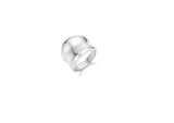 [Premium Plating] H Edition AB Bold Wave Ring