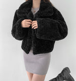 Winter Fluffy Fleece Collar Crop Fur Jacket