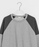 Rohina Color Matching Crop Sweatshirt