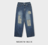 S/S shear damage washed denim pants