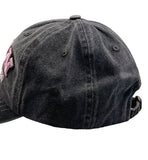 Boston pig washing ball cap
