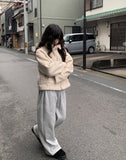 Hump Brushed Wide Jogger Pants