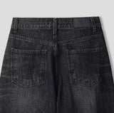 Blaze Catbrush Wide Denim Pants