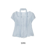 Delre Sheer Wrinkle Blouse
