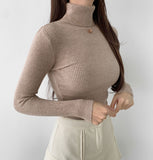 Ribbed Inner Winter Fall Neck Polar Long Sleeve T-shirt