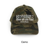 Leaven Washed Vintage Ballcap