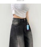 Diagonal One Pin Tuck Washing Loose Balloon Wide Fit Denim Pants
