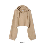 Fran Soft Wool Crop Knit Hoodie