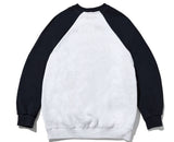 Potential Raglan Sweatshirt