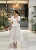 French Check See-Through Banding Flare Long Skirt