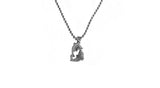 Deven Surgical Dolphin Necklace