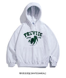 Previse Hoodie