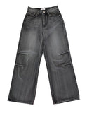 Gray Pin Wide Denim