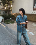 Flood cat brush western denim shirt