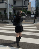 Hiyo Pleated Mini Skirt Pants
