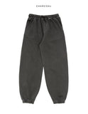 Lutz Pigment Jogger Pants