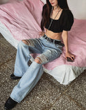 MUSE Lace Puff Crop Short Sleeve