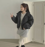 Matte Hood High-Neck Short Padding