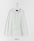 Pings summer see-through hooded long-sleeved tee