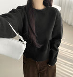 Basic Mid Season Semi Crop Knit