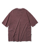 Rough Collie Pigment Short Sleeve T-shirt