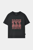 FADE DRIFT GRAPHIC CROP HALF T