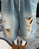 Arpa Damaged Bermuda Denim Pants