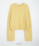 Puden Hairy Wool Cable Crop Knit