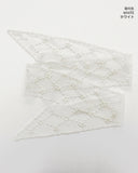 Dreamer Summer See-Through Punching Embroidered Scarf