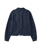 LP Back Slash Denim Jacket