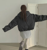 Matte Hood High-Neck Short Padding