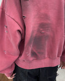 Ferris Crop Damage Hoodie