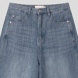 Miz Wide Stripe Denim Pants