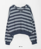 Koshiro Stripe Crop Hoodie