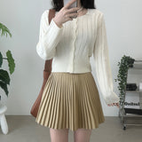 Pleated Wool Mini Skirt