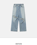 Hippo Damage Wide Baggy Denim