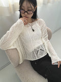 Api Wav Punching See-Through Rib Neck Long Sleeve Knit