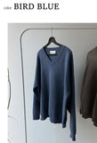 Blue Bird Overfit V-Neck Knit