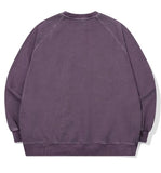 Happy Callie Raglan Pigment Sweatshirt